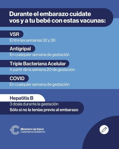 Cuáles son las vacunas que deben aplicarse en el embarazo.