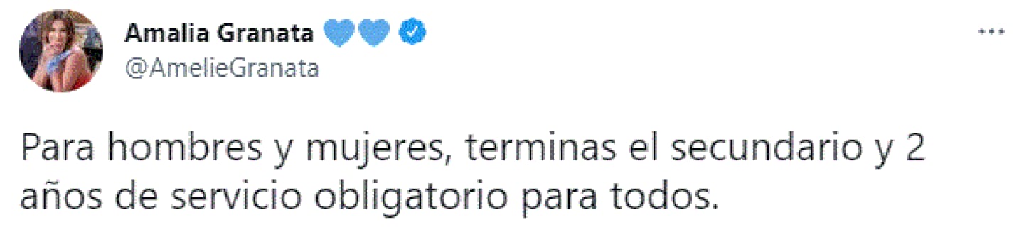 El tuit que publicó Amalia Granata sugiriendo el regreso del Servicio Militar Obligatorio.