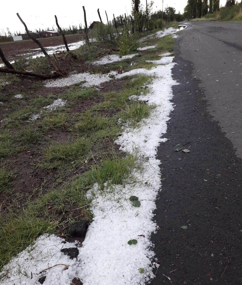 Viento, lluvia y granizo provocaron daños en distintas zonas de San Rafael. Gentileza 