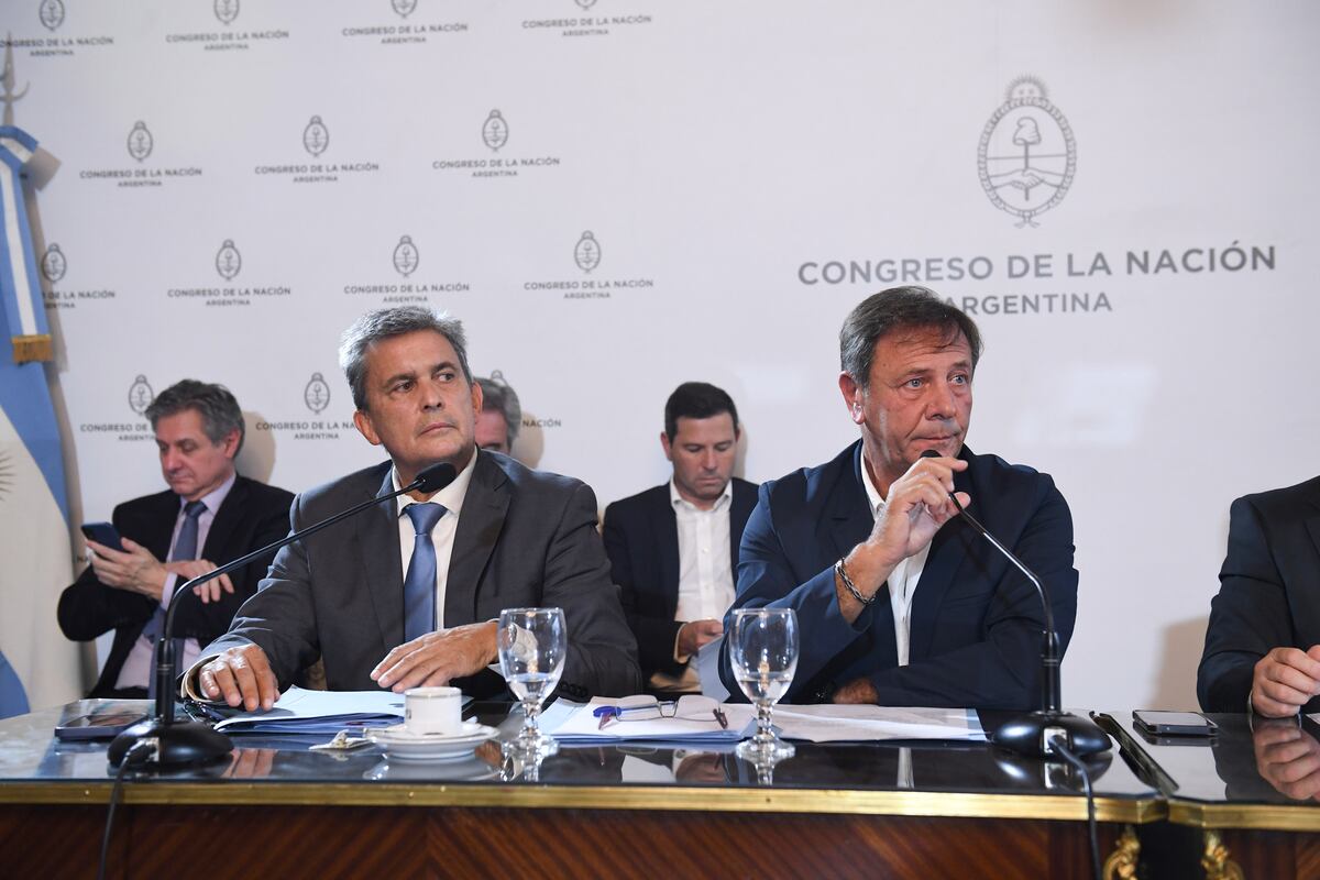 Fuerte pelea en el Congreso: Zago fue electo presidente de la Bicameral de DNU