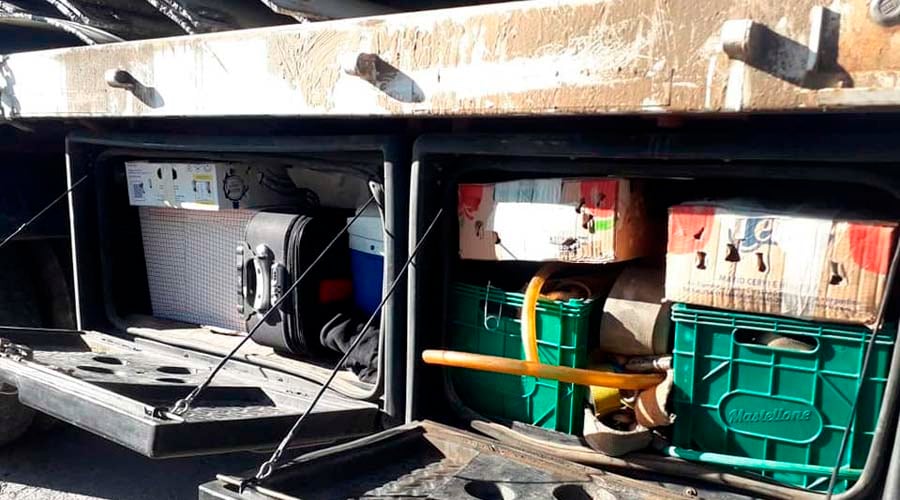 Los ejemplares eran transportados en cajas, en las bodegas de un camión 