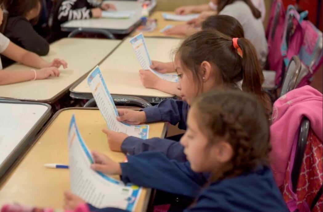 Lectura en escuelas