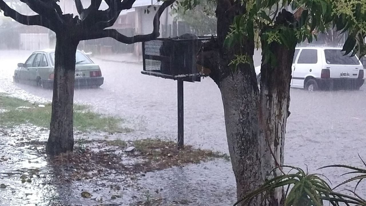 Calles anegadas, inundaciones: el panorama que se puede estar dando en los próximos días. 