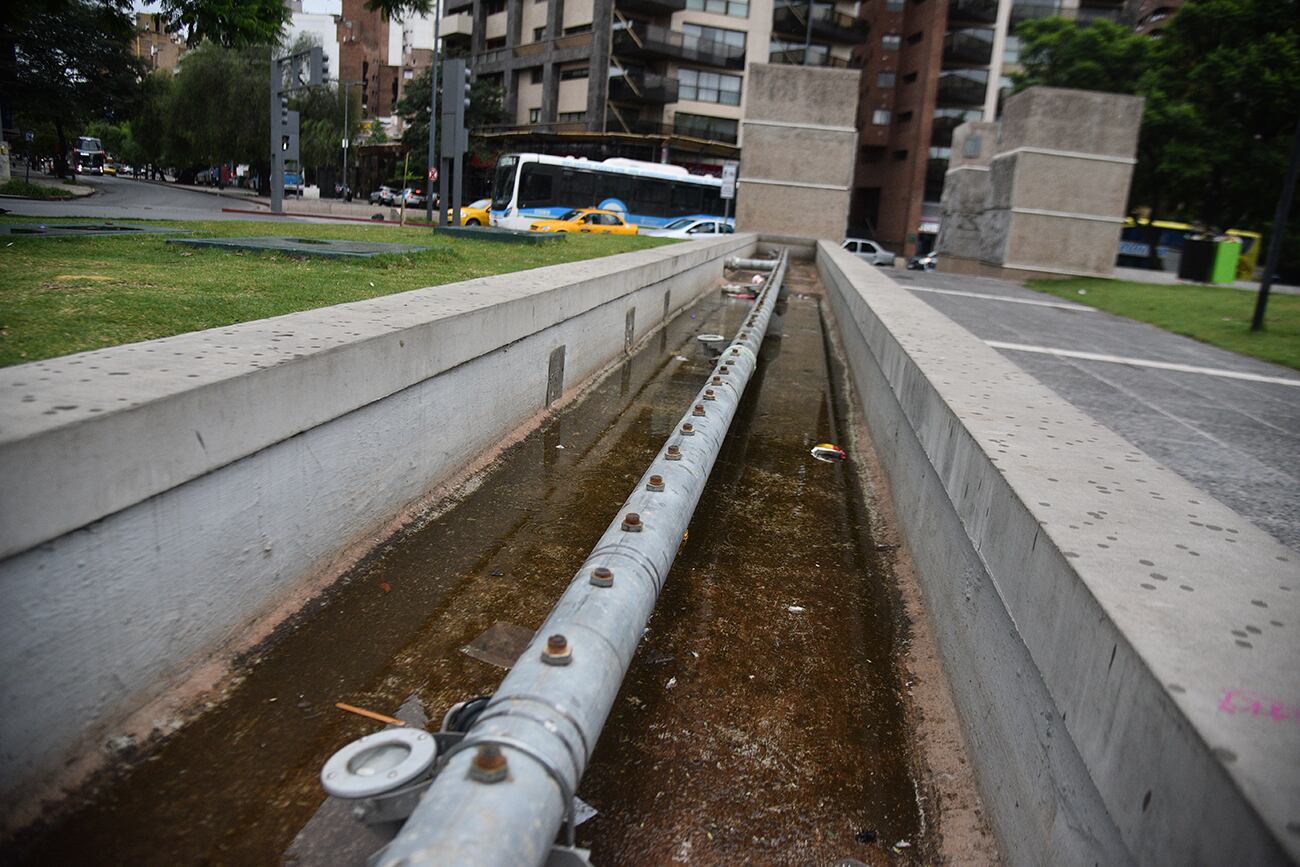 Desaparecieron más de la mitad de los picos de bronce.