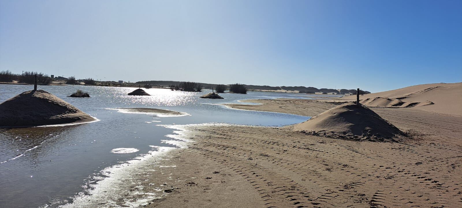 encuentran montículos de arena sosteniendo pilotes en una zona protegida de la albufera