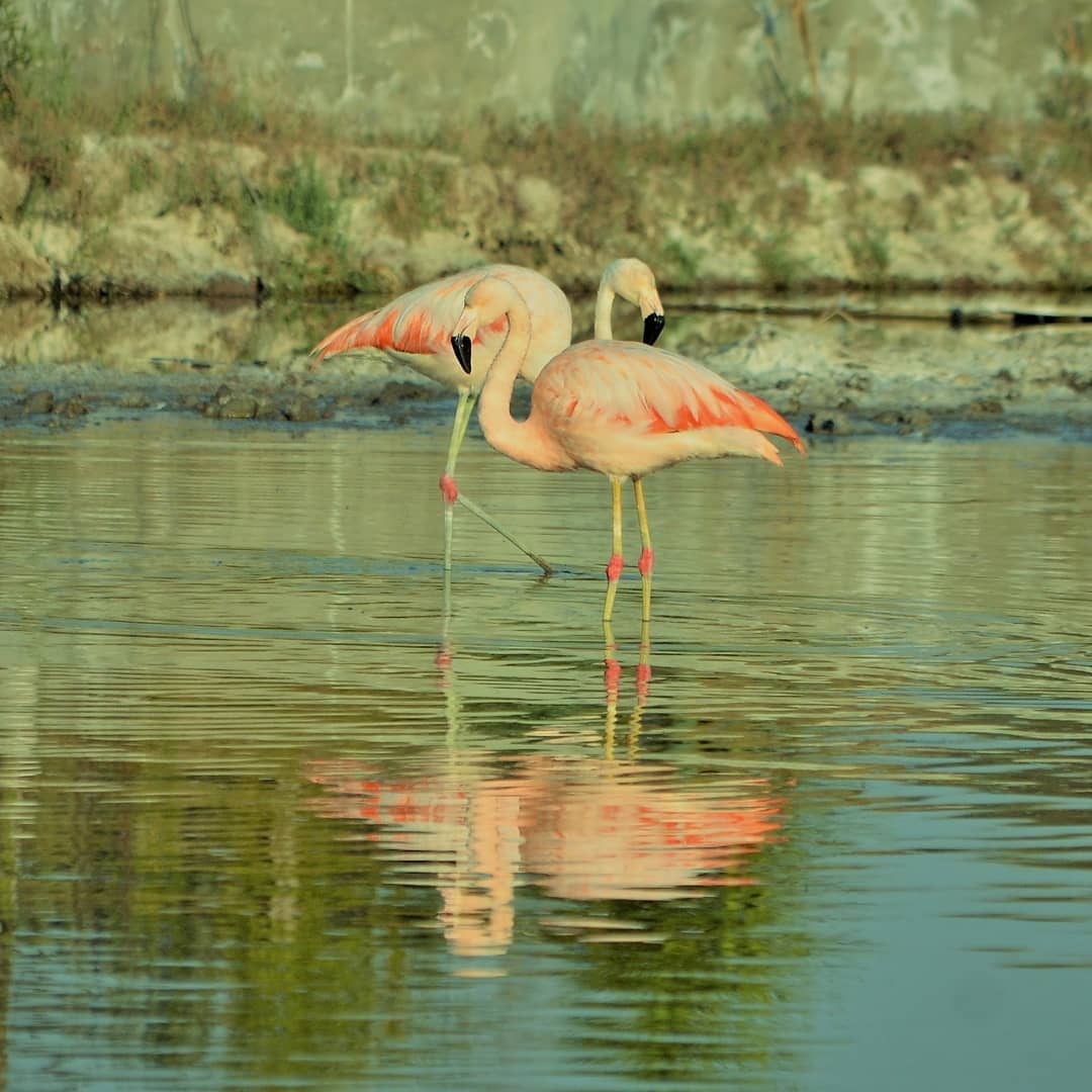 Fotografía: Paola Sereno