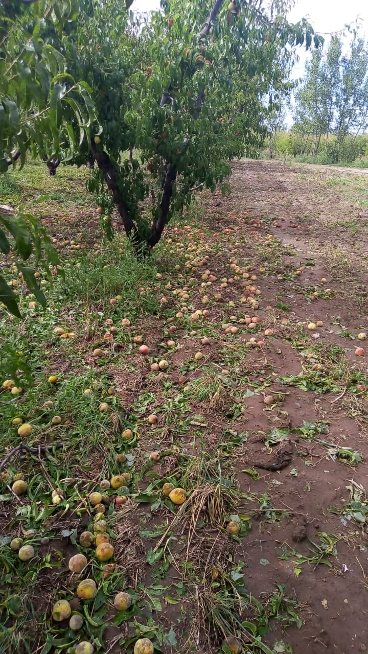 Granizo San Rafael.