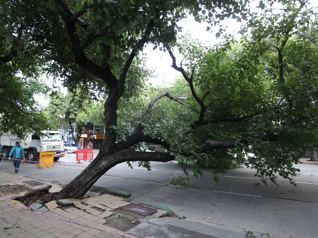 Fuerte tormenta azotó al Gran Mendoza.