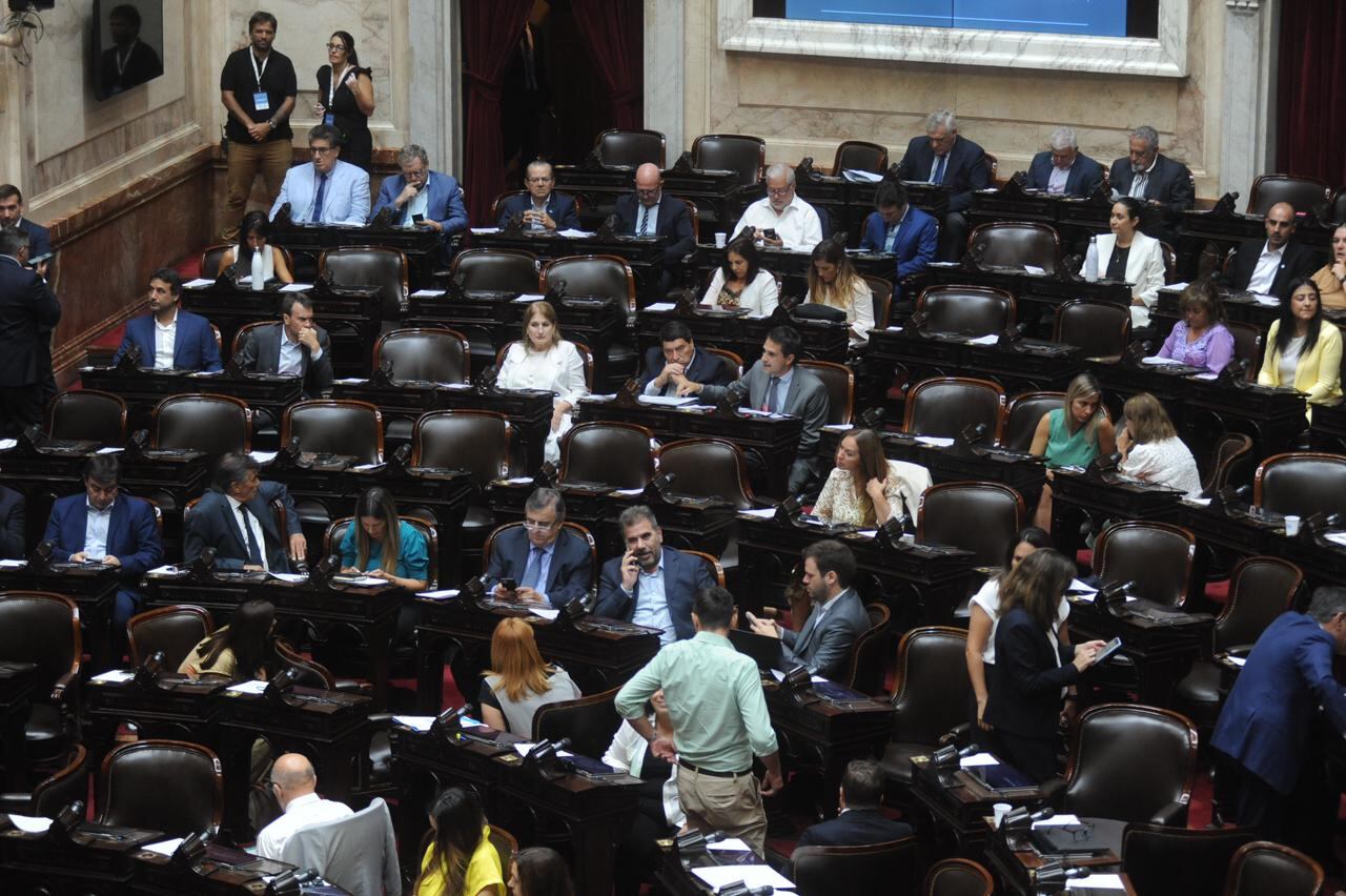 Sesión en Diputados para tratar la moratoria previsional - Foto: Federico López Claro