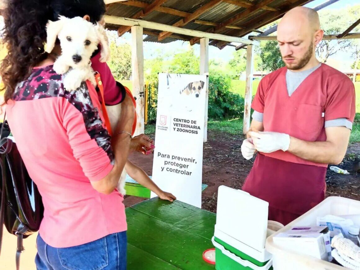 Realizarán operativo veterinario de zoonosis en Eldorado.