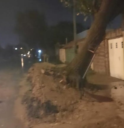 La lluvia y el viento dejó destrozos en la ciudad