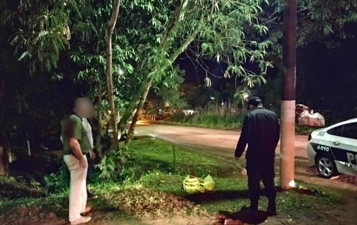 Efectivos policiales hallaron marihuana en un espacio verde de Eldorado.