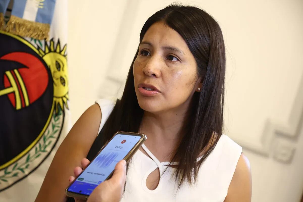 Gabriela Ruiz, presidenta del centro vecinal del sector B1 del barrio Alto Comedero, agradeció la asistencia recibida por los vecinos tras el temporal.