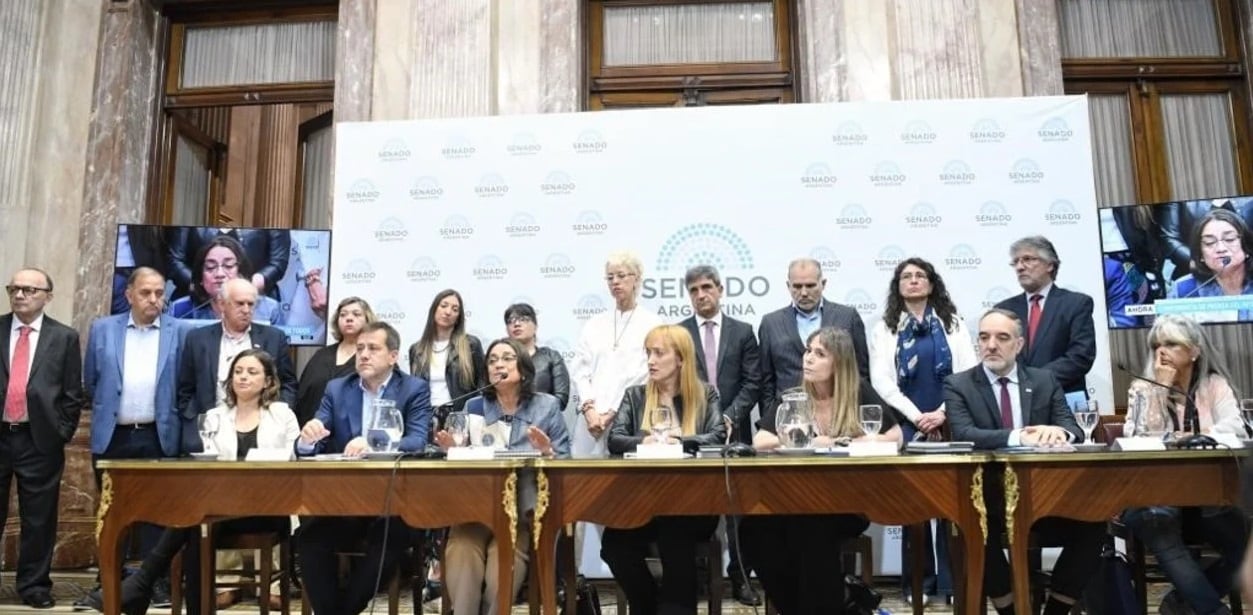 Senadores oficialistas anunciaron que insistirán con el nombramiento de Martín Doñate.