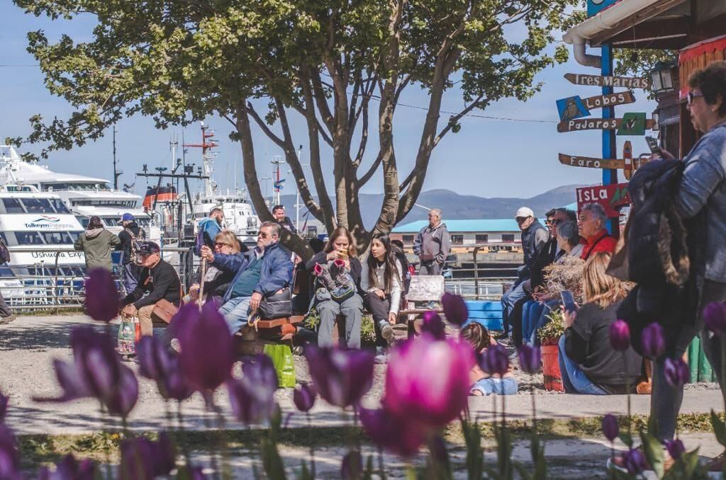 Exitosa llegada de turistas a Ushuaia