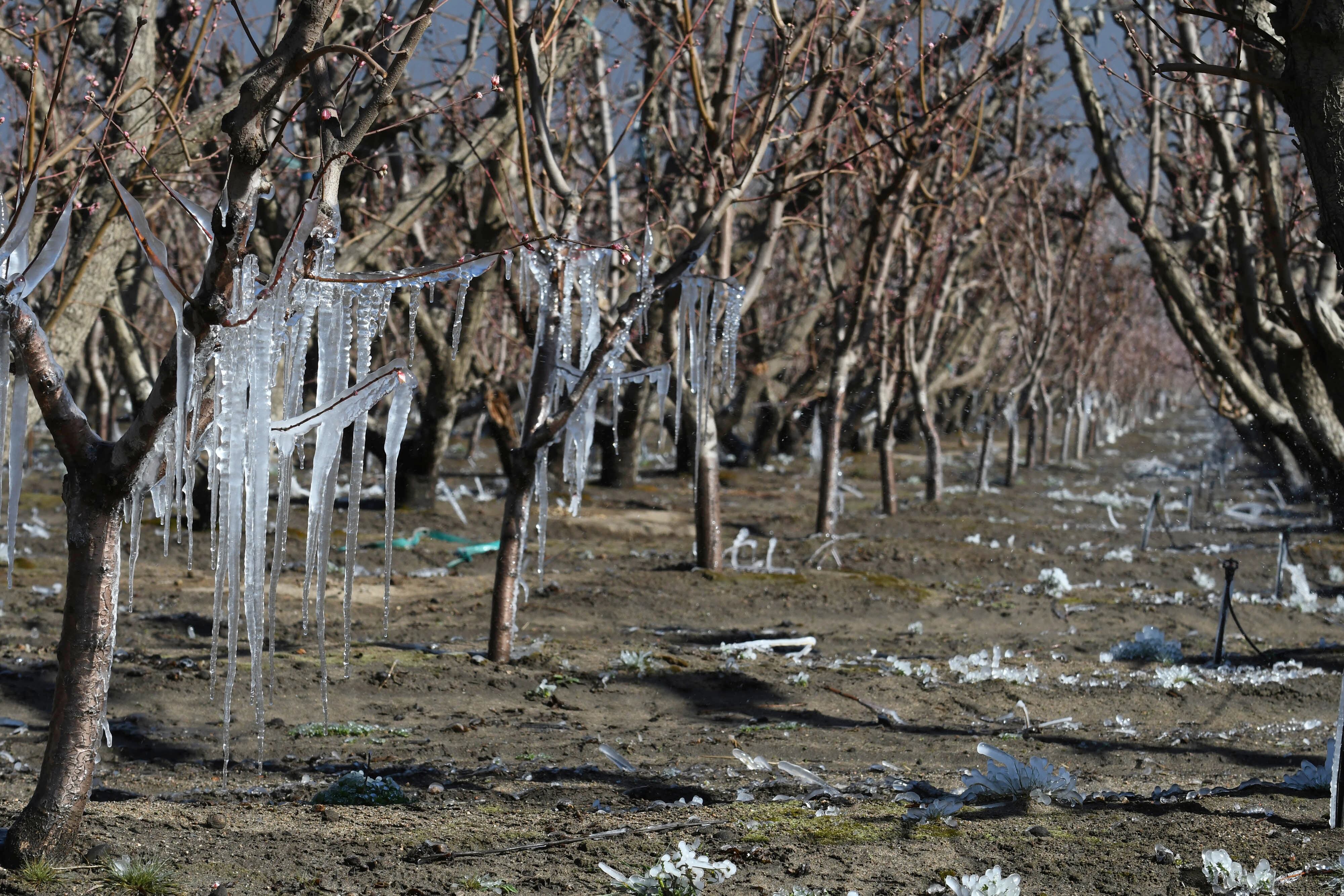 Bajas temperaturas y pocas precipitaciones pueden provocar heladas más potentes.