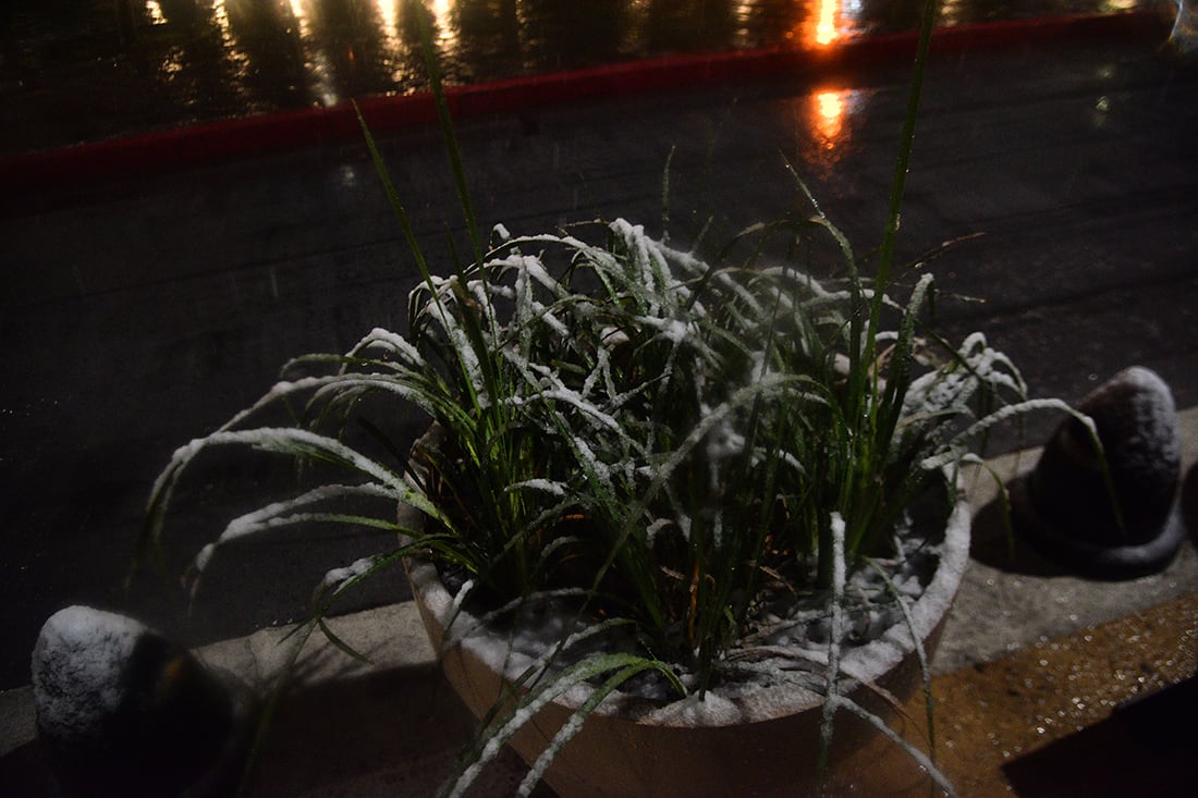 El centro de la capital de Córdoba se cubrió de nieve. (Pedro Castillo/ La Voz)