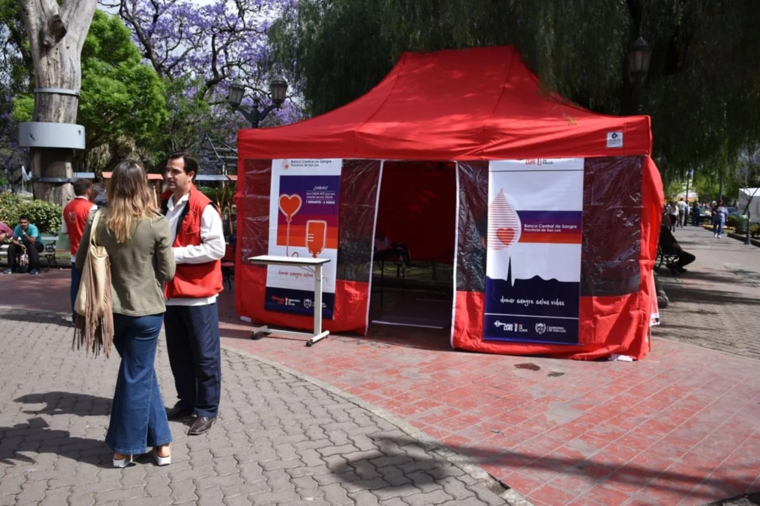 Donación de sangre en Plaza Pringles, San Luis