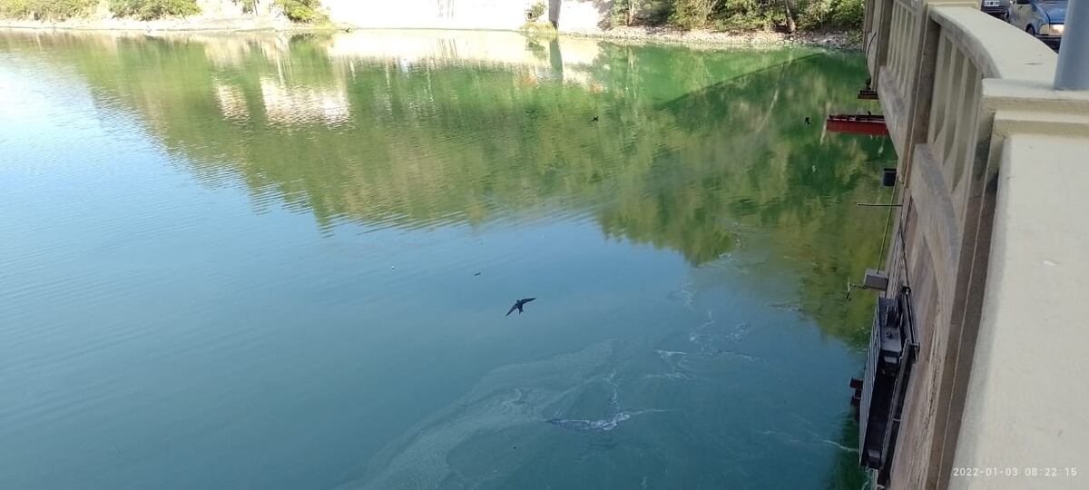 Lago San Roque: siguen las tareas de remoción de algas en el embudo