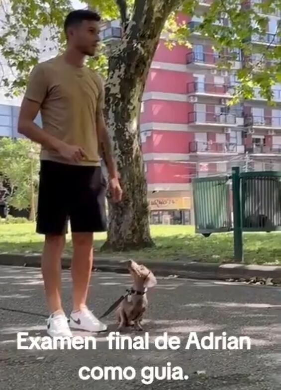 Un jugador de Independiente se recibió de adiestrador canino y sorprendió a los hinchas con el video