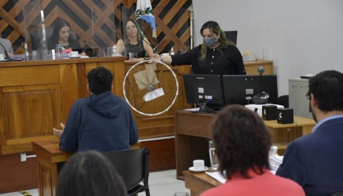 Dieron 15 años de cárcel a los asesinos de Matías Auderut