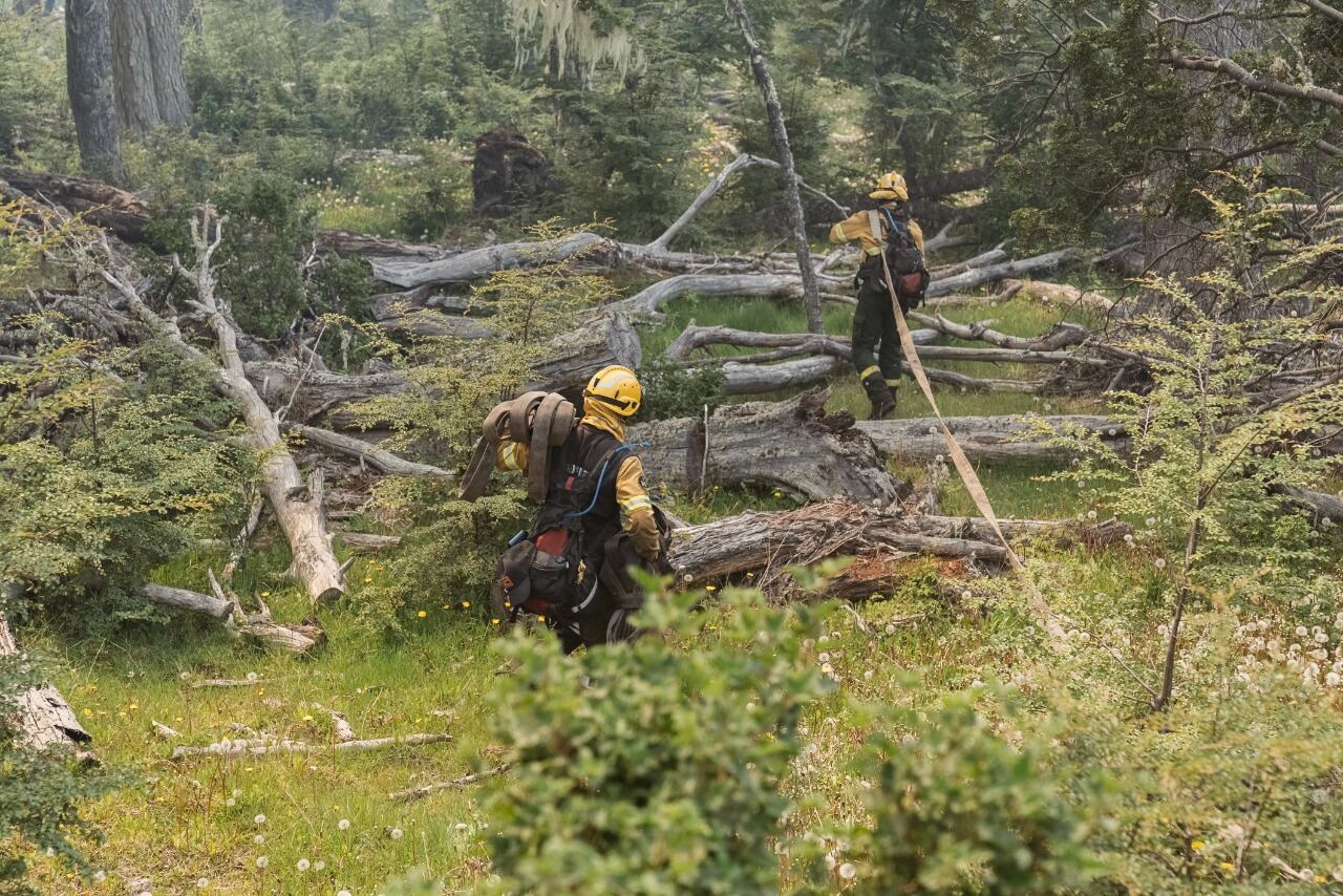 Continúa el combate contra el fuego en la Reserva Corazón de la Isla.