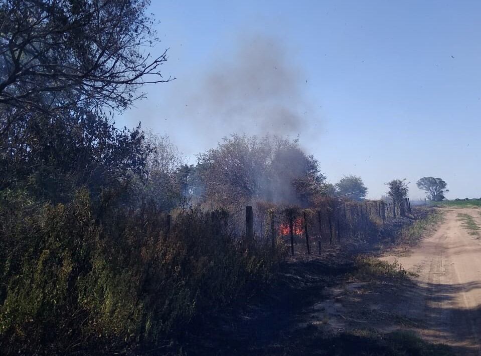 Incendio rural Arroyito