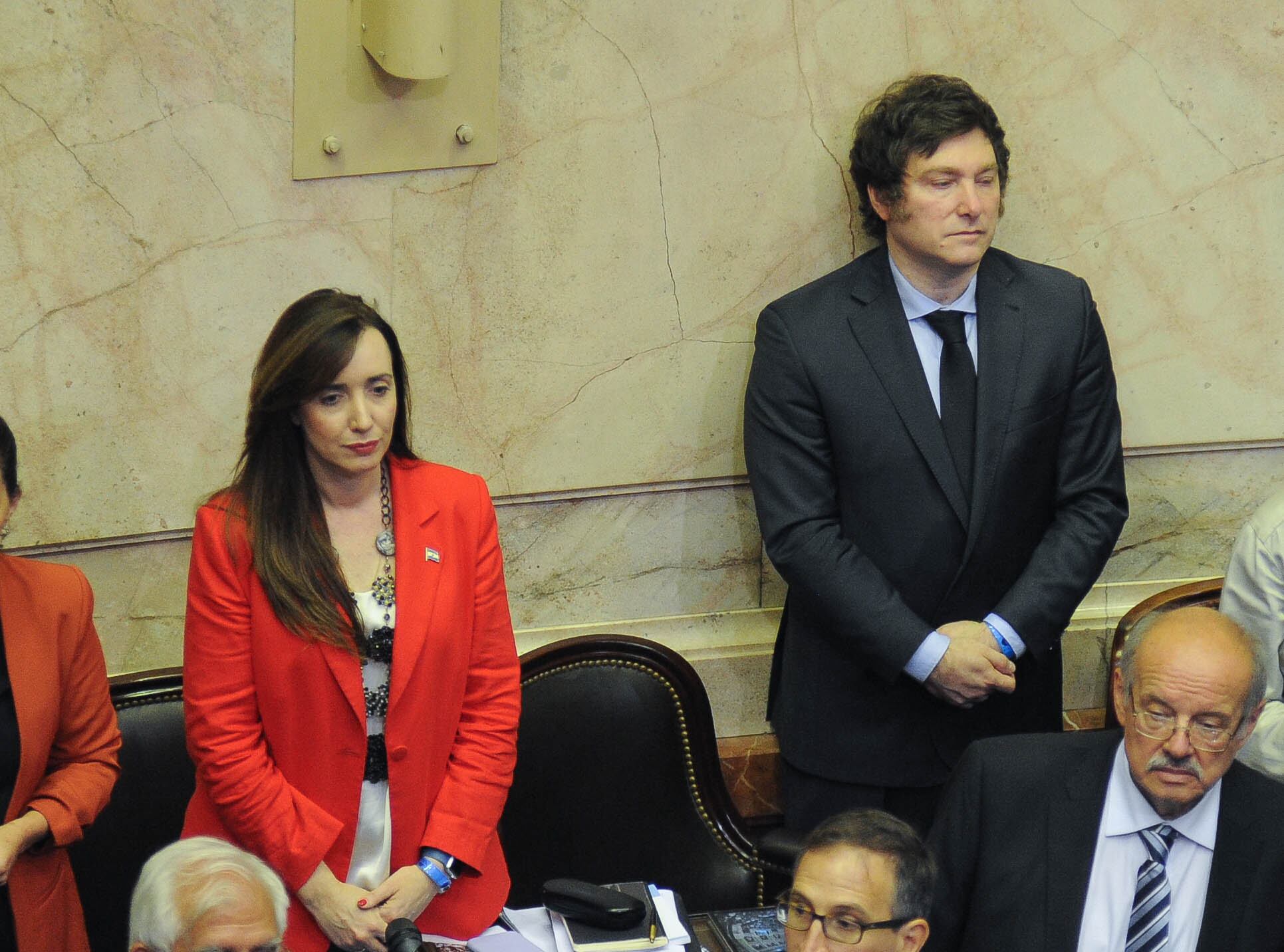 Javier Milei en la camara de Diputados . Foto Federico Lopez Claro