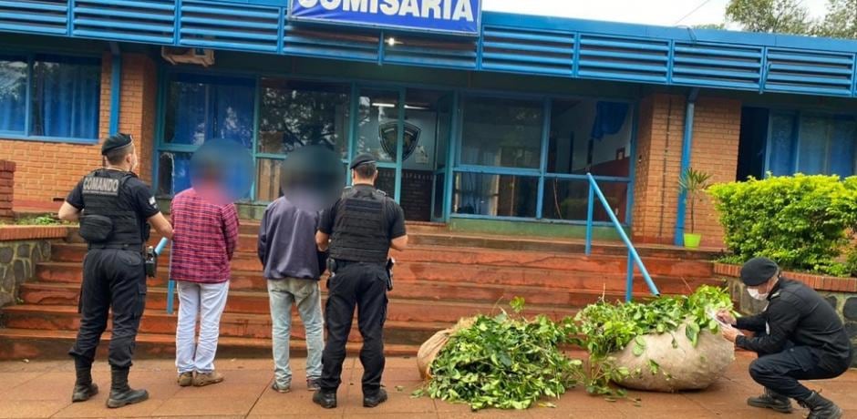 Fueron detenidos por el robo de hoja verde en Aristóbulo del Valle.