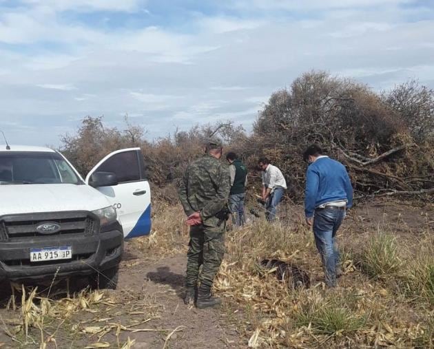 El Gobierno de Chaco fiscaliza las zonas desmontadas sin permiso.