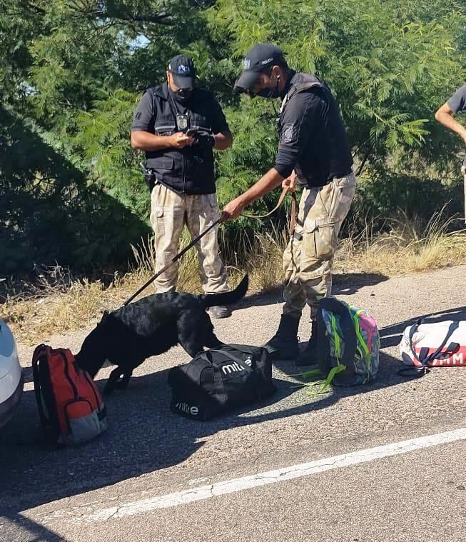 Operativo de control antidroga en Monte Comán con ayuda del perro Anahí.