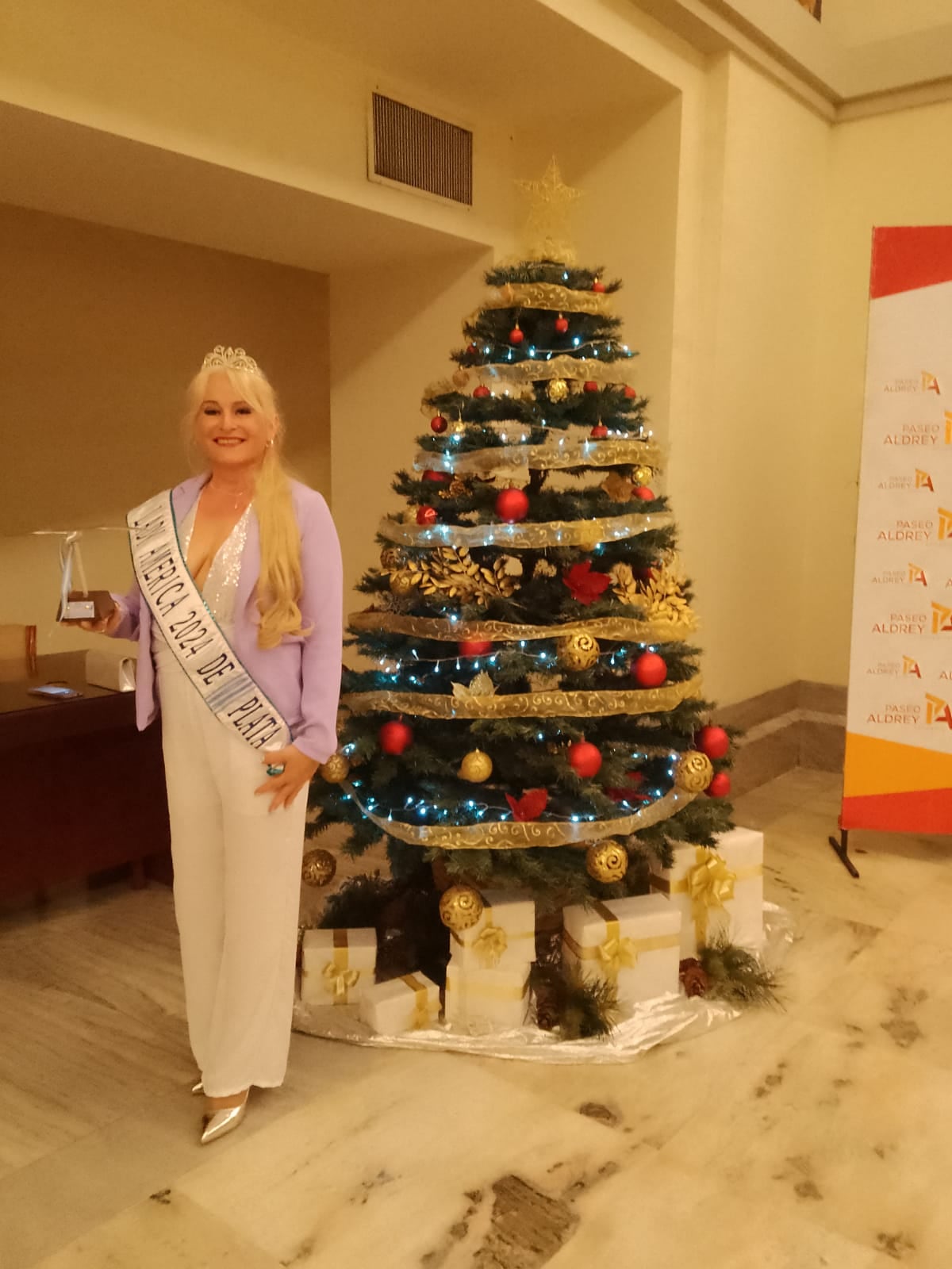 Rebeka Ferretti, Gaviota de Plata y Miss Lady América del Plata