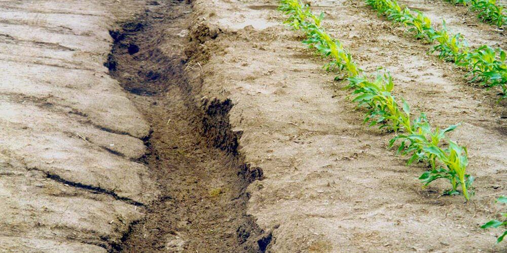 Suelos y su conservación de la agricultura intensiva