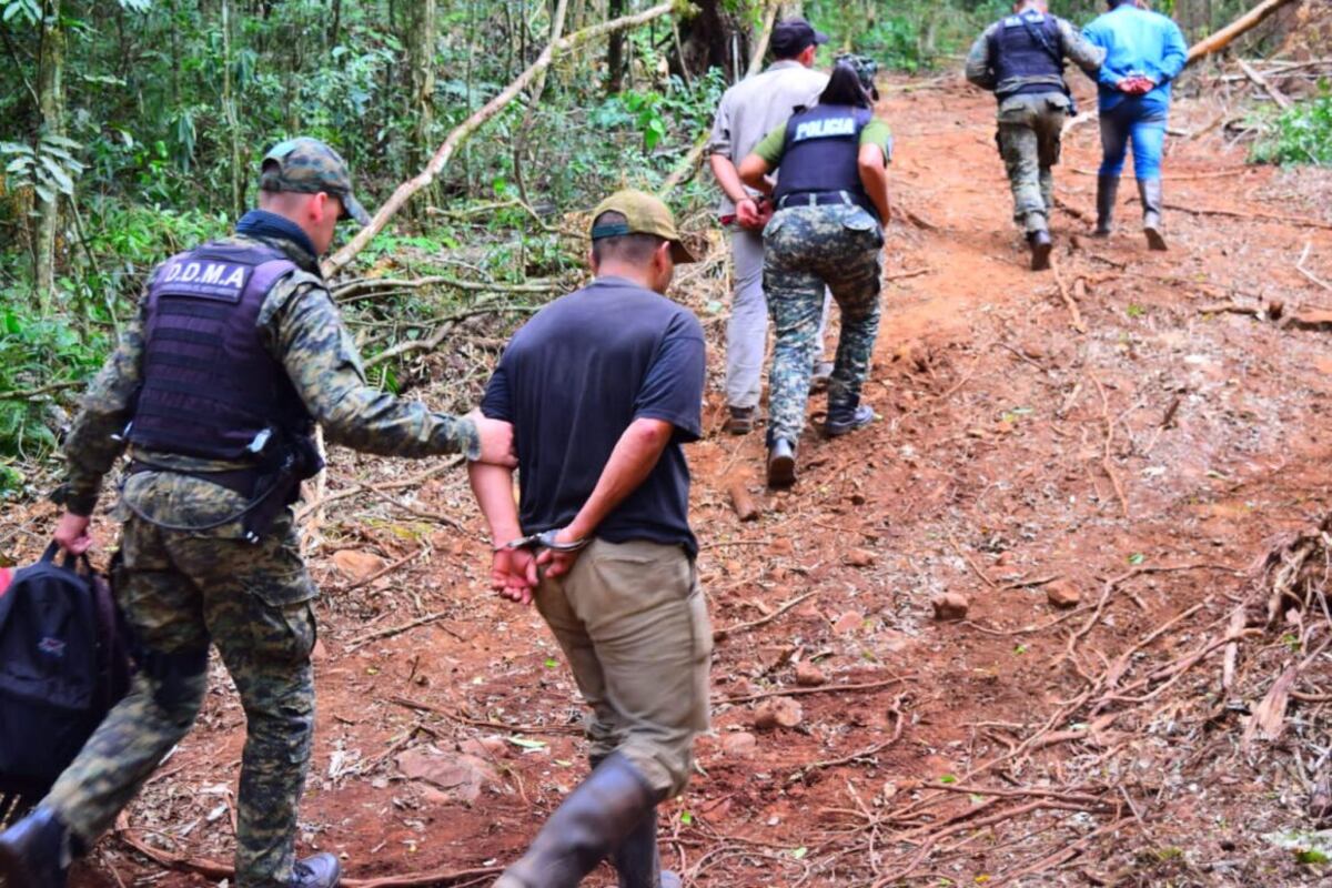 Cinco detenidos por apeo ilegal en un lote privado de San Pedro