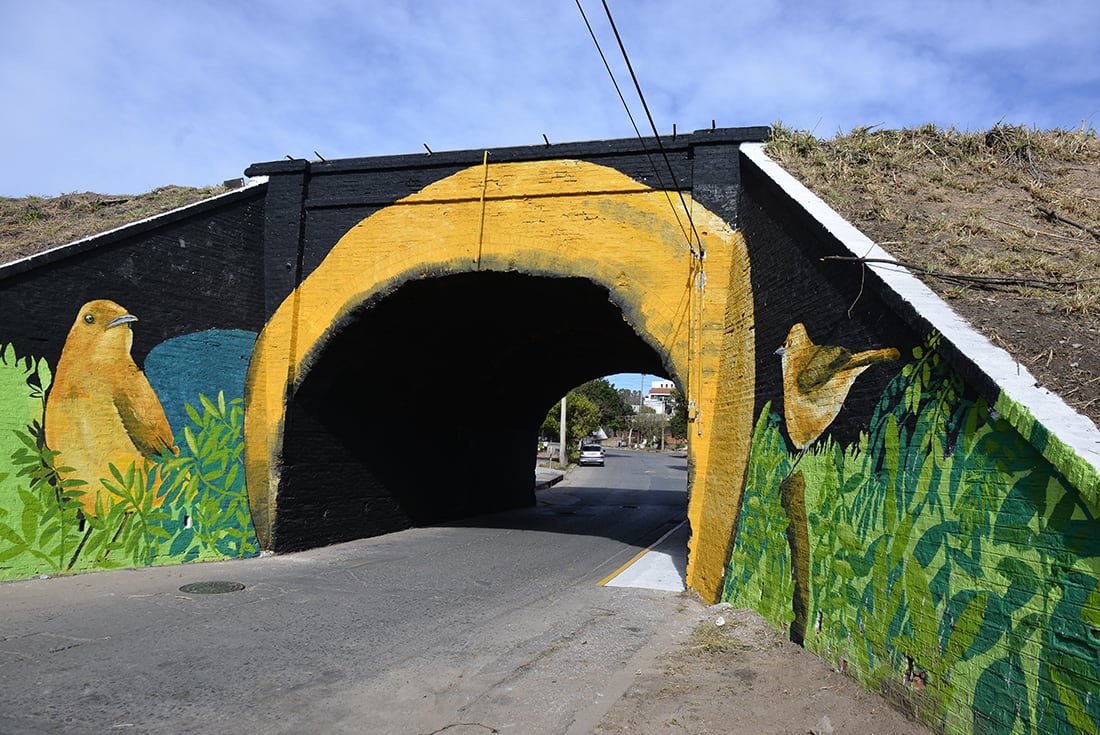 Aprovechando la forma del túnel, hicieron el nido del hornero. 