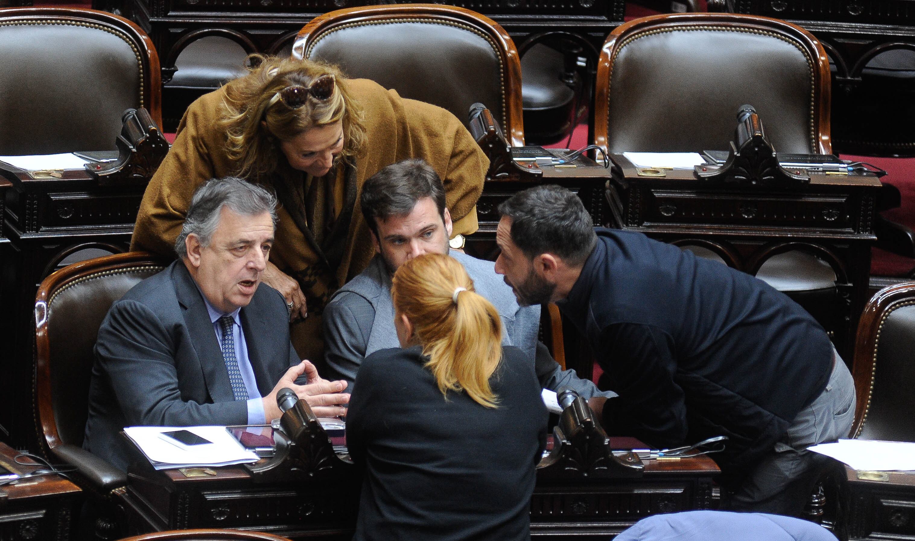 Mario Negri
Diputados ganancias
Foto Federico Lopez Claro