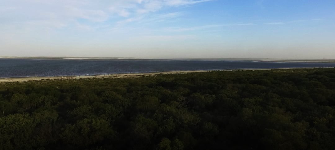 Conociendo Ansenuza -  Monte de arboles autoctonos - 