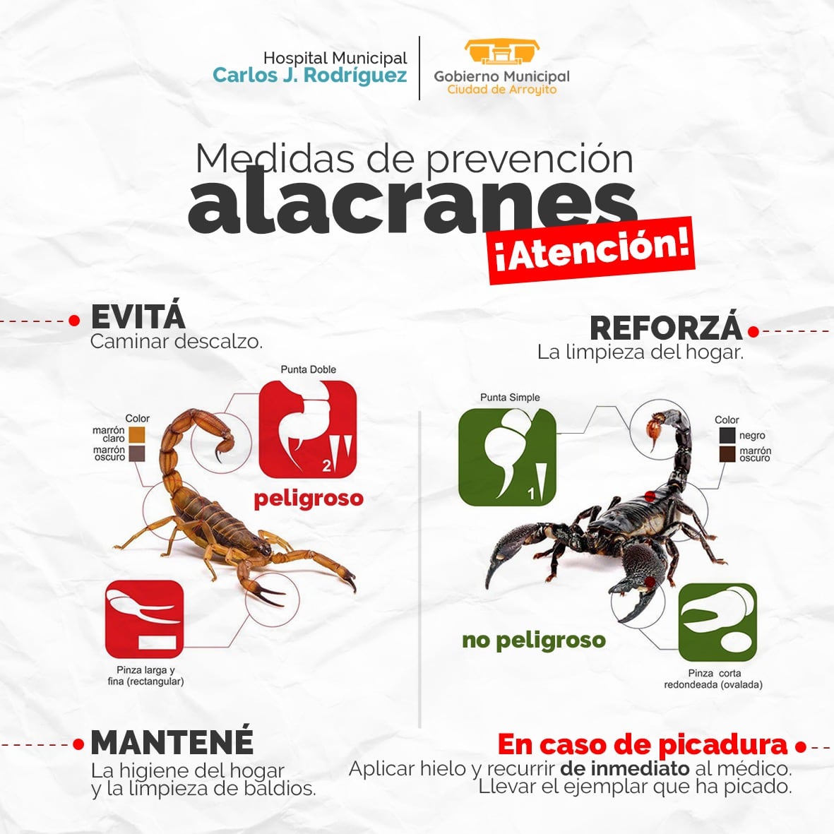 mosquitos y alacranes en Arroyito