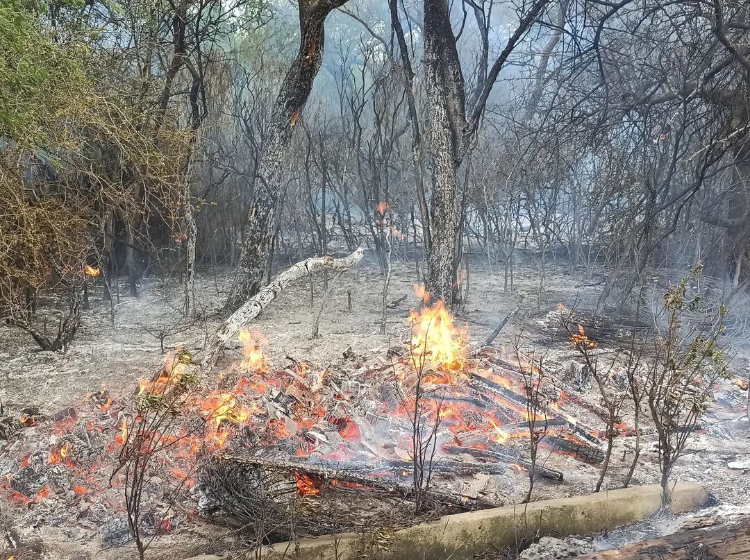 Incendio de pastizales Bomberos de Arroyito