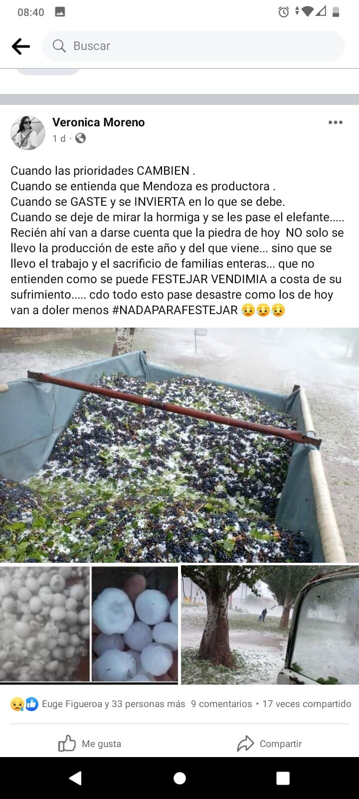 La mendocina mostró los daños que el granizo causó a su trabajo.