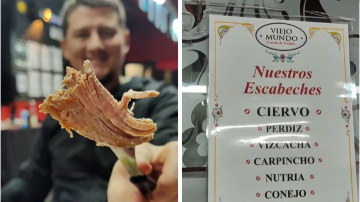 Fue a comer a un bodegón dónde sirven yacaré, carpincho, jabalí y ranas: cuánto gastó