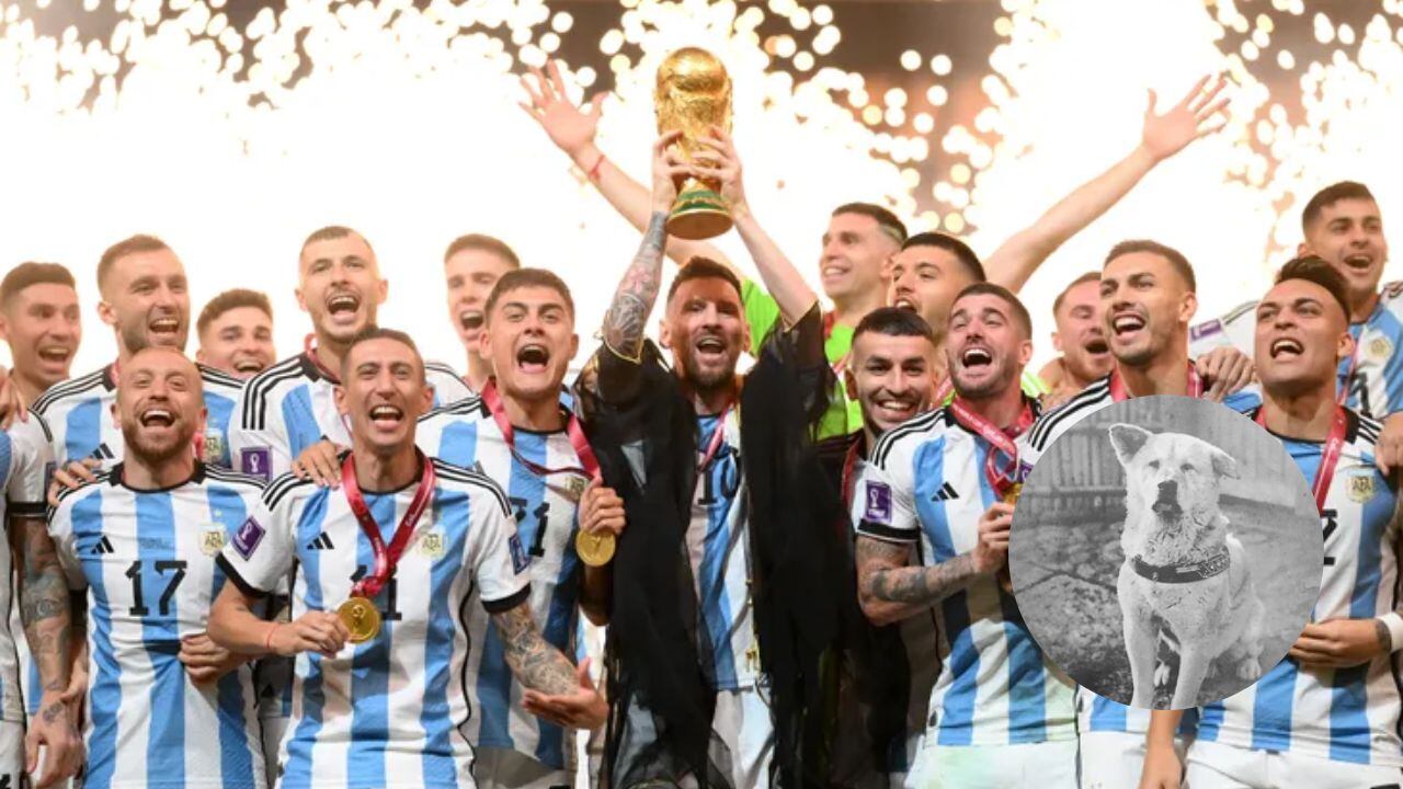 Locura por Argentina campeón del mundo: en Japón le pusieron la bandera argentina a Hachiko.