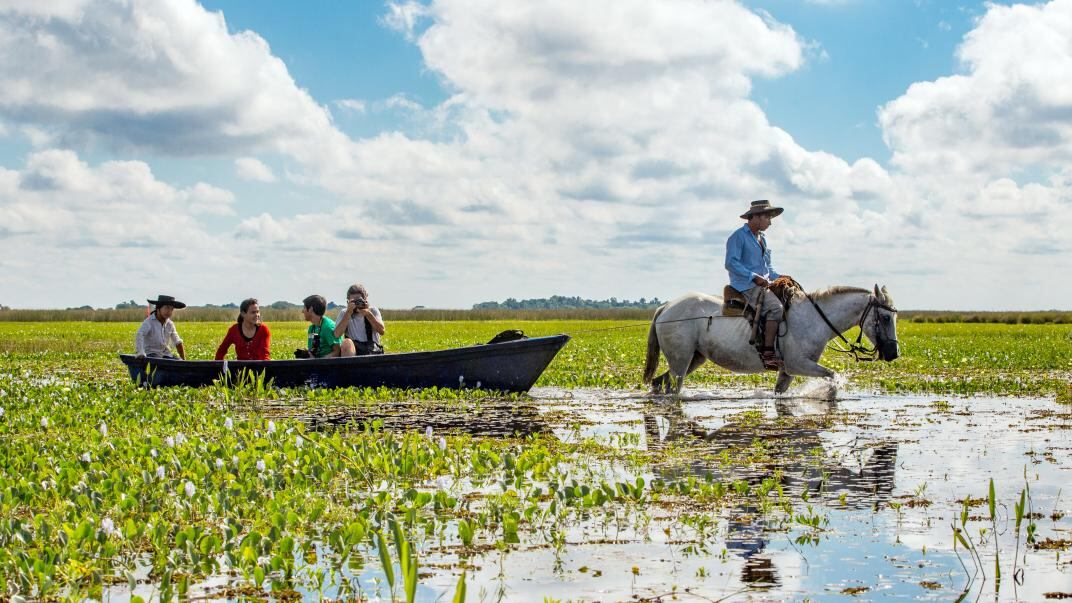 Esteros del Iberá. Foto: Corrientes.travel