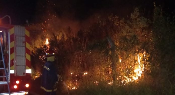 Incendio provocó que media hectárea de monte quedara destruida en Oberá.