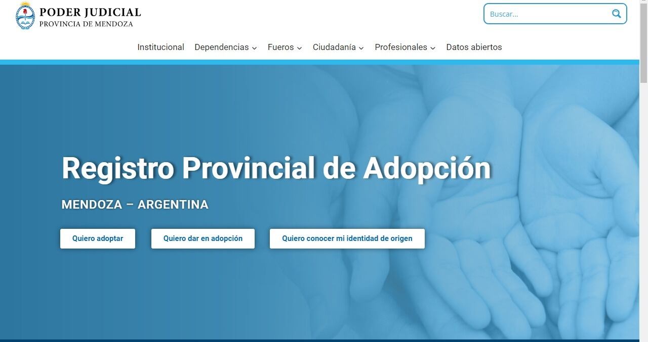 Aquellos que quieran hacerlo parte de su familia se pueden comunicar con el Registro Provincial de Adopción, al teléfono 0214495476.