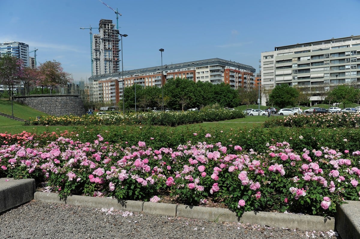 El Rosedal complementa el paisaje de Puerto Madero