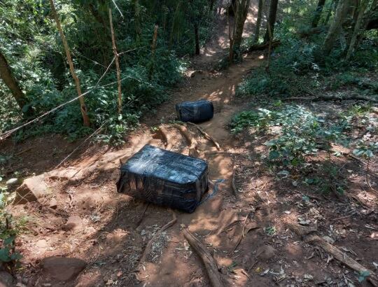 Secuestran marihuana en la ribera del Paraná.