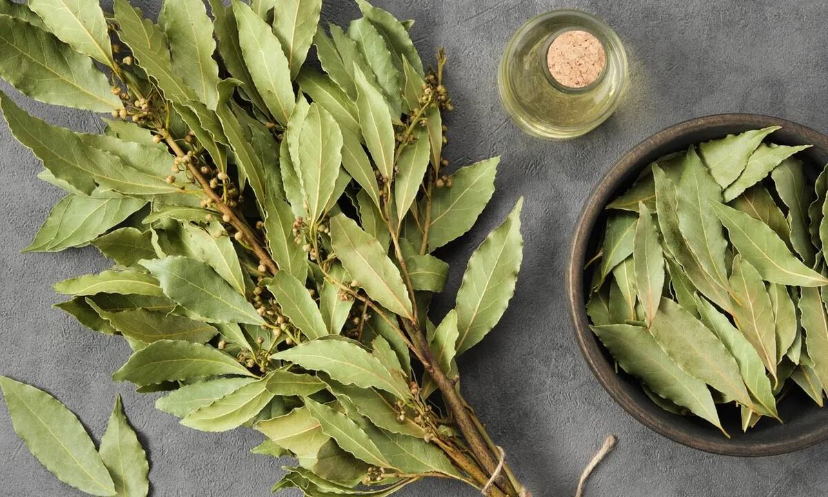 El dinero y la prosperidad siempre estuvieron a tu alcance: solo te faltaban estos rituales del laurel
