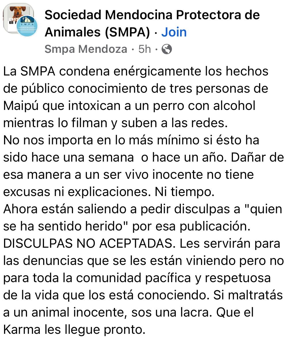 El descargo de la Sociedad Mendocina Protectora de Animales