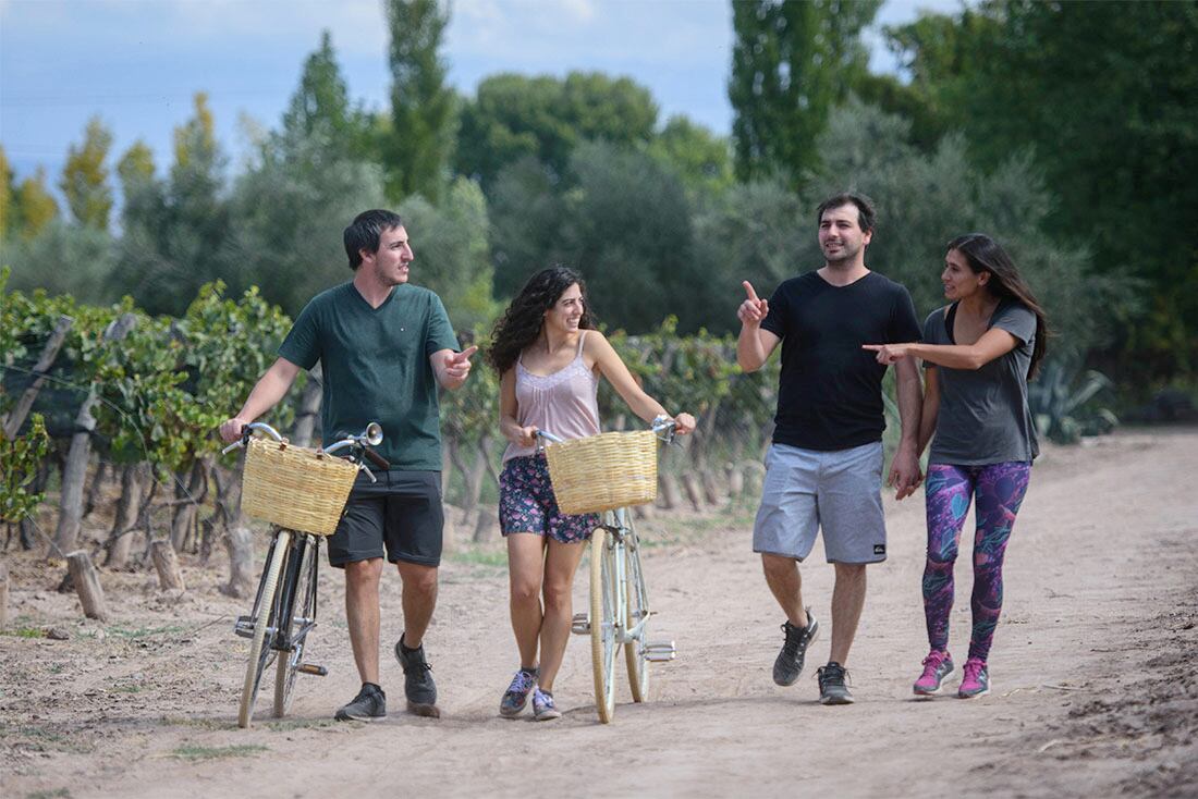 Turismo en Bodegas de Mendoza

Foto:  / Los Andes